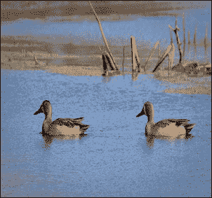 Why do we care about seam carving?