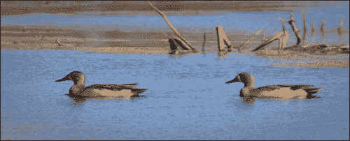 Can we expand an image?