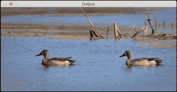 Can we expand an image?